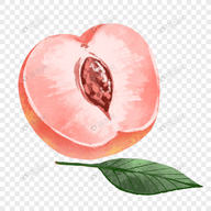 9.1樱花PPT网站大片APP
